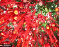 �߿��ٽ��ҳ�����ӱ��� ��Ըƻ��������